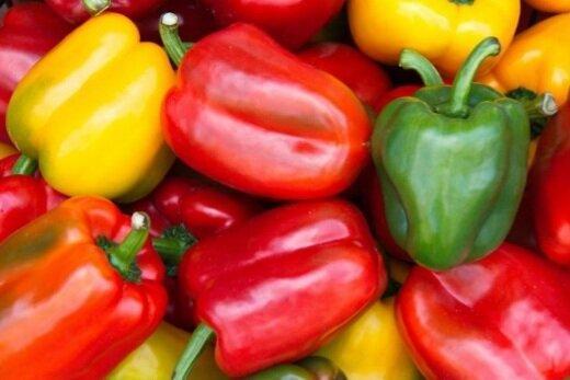 تاثیر استفاده از سموم کشاورزی در کالاهای صادراتی تاثیر استفاده از سموم کشاورزی در کالاهای صادراتی