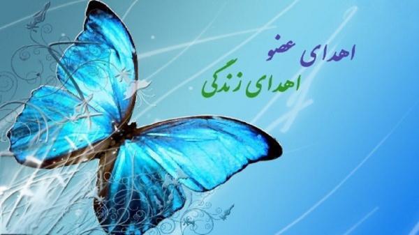 ثبت بیستمین اهدای عضو در یزد ثبت بیستمین اهدای عضو در یزد