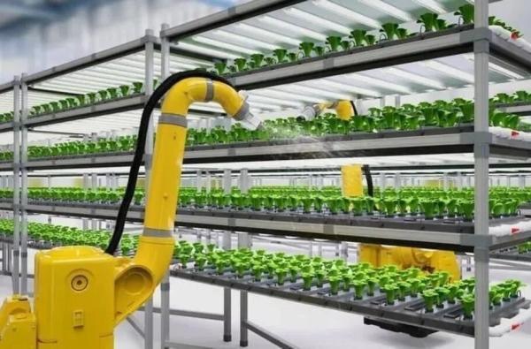 مزرعه غول پیکر چینی که با هوش مصنوعی کار می نماید!، عکس